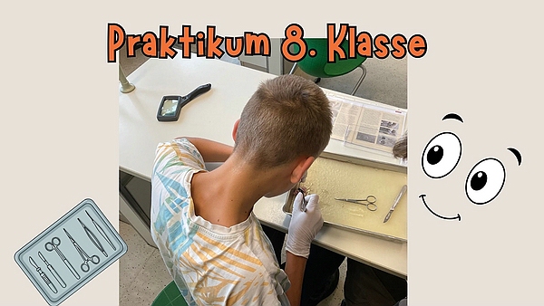 Praktikum 2026